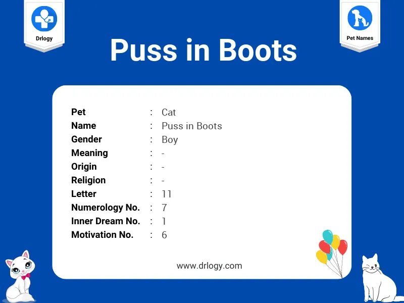 Puss In Boots Name Meaning